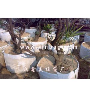 美植袋袋环保植树育苗绿化和绿化植树袋营养钵绿化用品比较 中国供应商